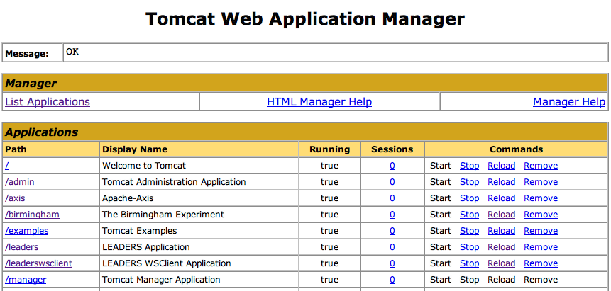 Manager; Tomcat Web Server